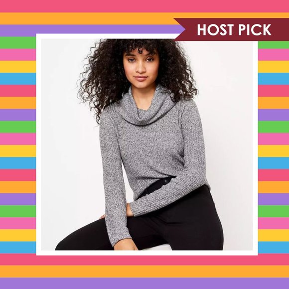 LOFT Sweaters - Loft Cowl Neck Top - NWT